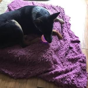 Meet your Posher, Deborah j